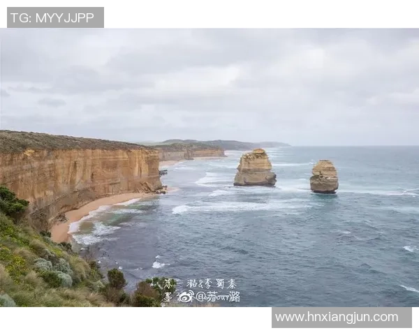 卧龙岗狼队迎战悉尼联精彩对决直播全程回顾与分析
